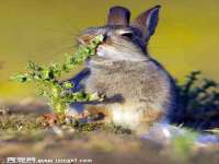 淮安市振民纺织有限公司